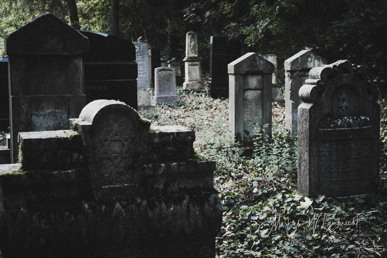 Steinheim (Westfalen), Jüdischer Friedhof